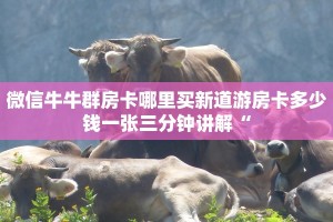 微信牛牛群房卡哪里买新道游房卡多少钱一张三分钟讲解“