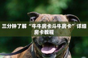 新道游房卡大厅链接怎么购买新人皇大厅怎么买房卡三分钟讲解“