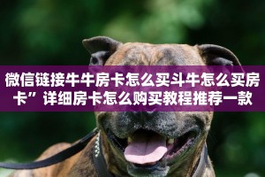 微信链接牛牛房卡怎么买斗牛怎么买房卡”详细房卡怎么购买教程推荐一款