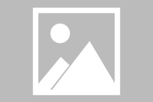 骆家坝古镇疫情最新消息/骆家坝古镇旅游攻略