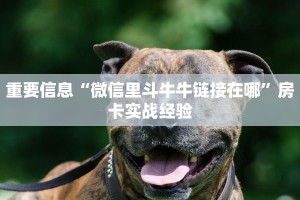 房卡怎么购买微信金花房卡一毛一张分享一下“