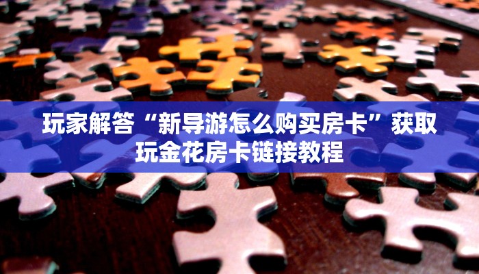 玩家解答“新导游怎么购买房卡”获取玩金花房卡链接教程