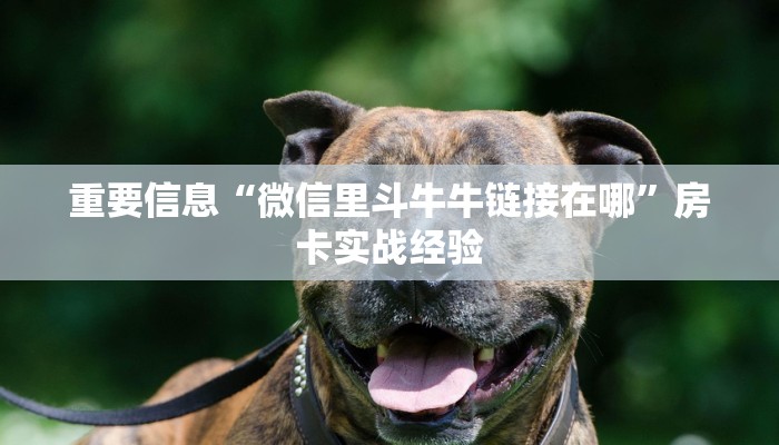 房卡怎么购买微信金花房卡一毛一张分享一下“