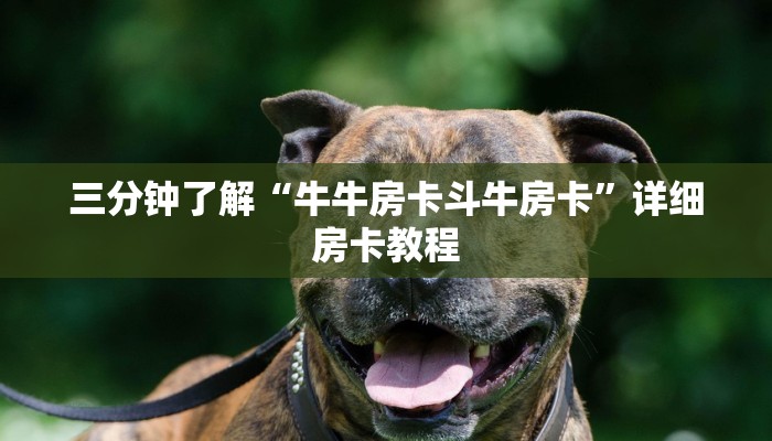 新道游房卡大厅链接怎么购买新人皇大厅怎么买房卡三分钟讲解“