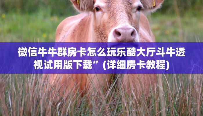微信金花房卡怎么购买微信链接房卡在哪里领取玩家必备“