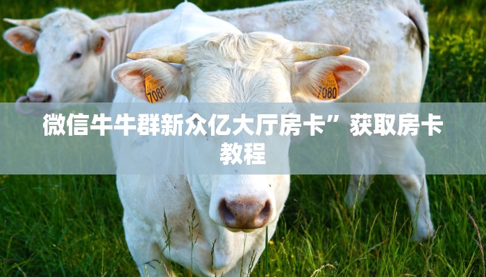 新神皇大厅怎么买房卡月亮大厅外挂”详细分享开挂教程